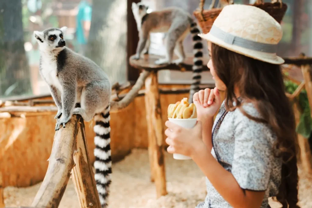 Top 10 Fun and Educational Kids Activities Dublin You Can’t Miss 2 Kids Activities Dublin