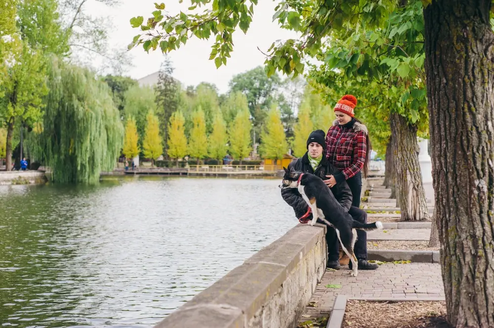 The Ultimate Dublin 1 Day Tour : Your Complete Guide to Ireland's Capital 3 Dublin 1 Day Tour