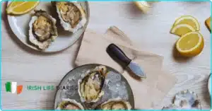 Galway oysters