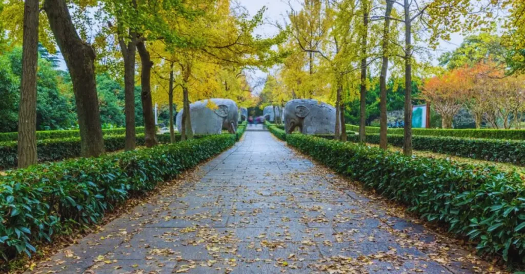 Herbert Park Lane