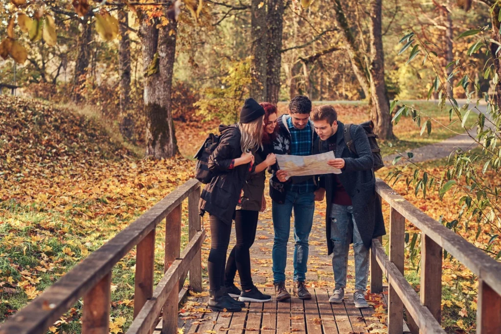 Ballinastoe Woods Walk: Vibrant, Rare, And Real 5 Practical Information for Visitors