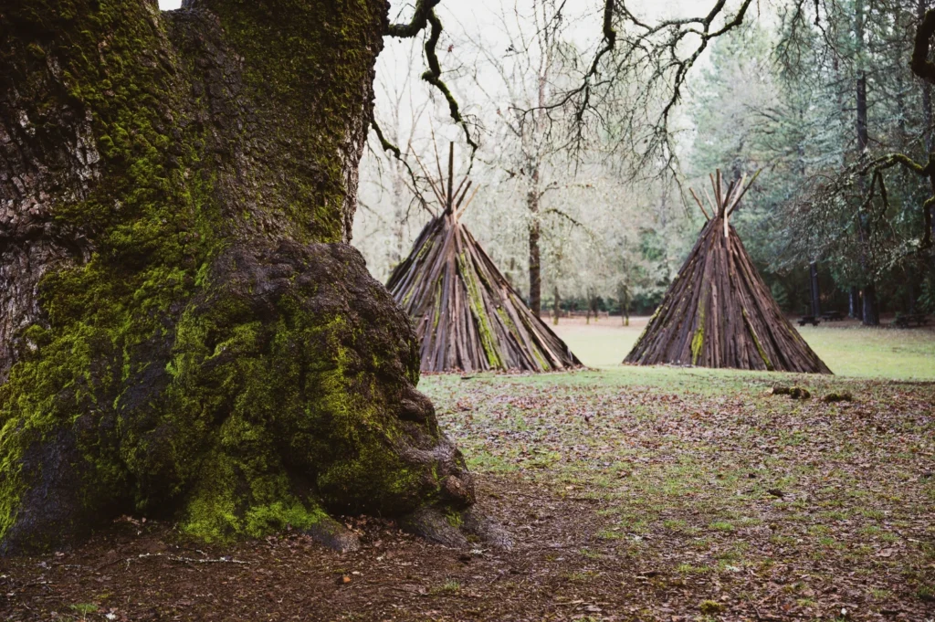 Ballinastoe Woods Walk: Vibrant, Rare, And Real 4 The Folklore and History of Ballinastoe Woods