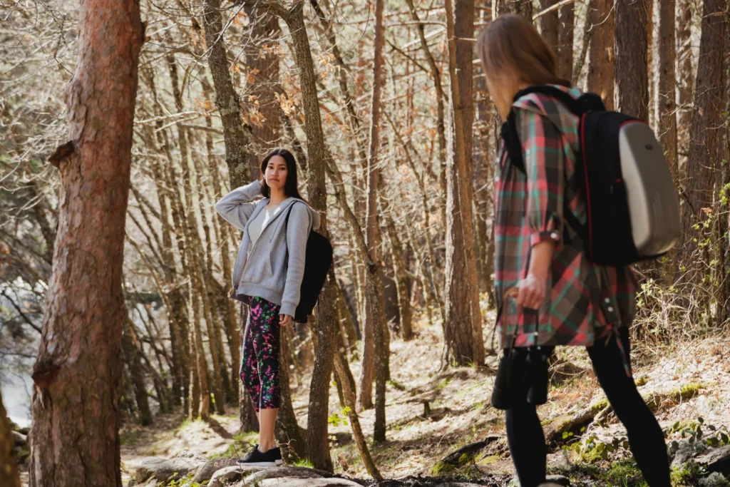 Ballinastoe Woods Walk: Vibrant, Rare, And Real 2 How Long is the Ballinastoe Woods Walk?
