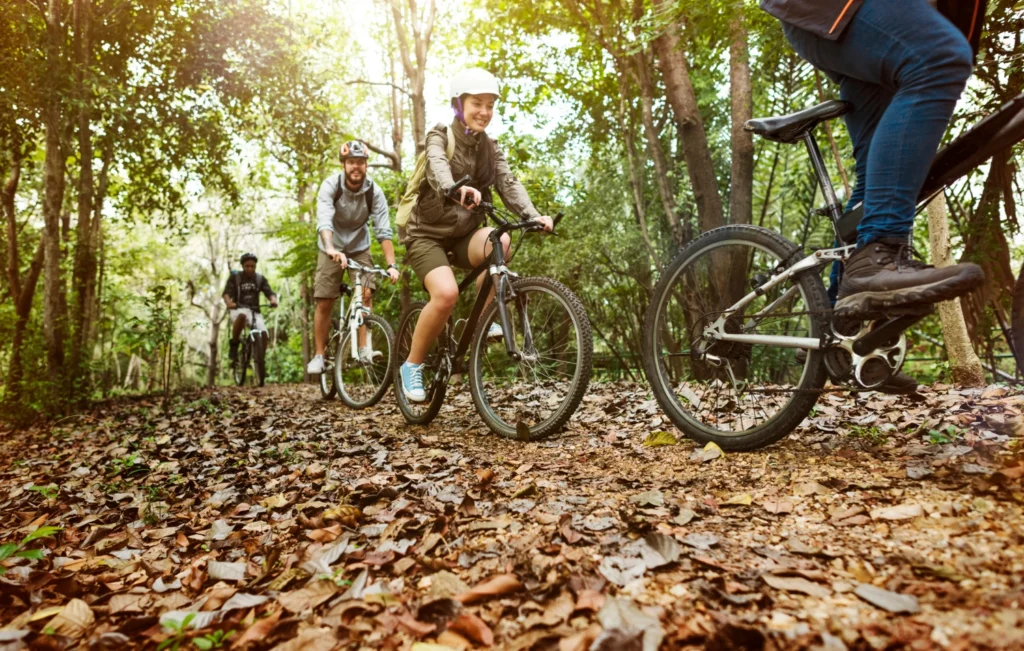 Ballinastoe Woods Walk: Vibrant, Rare, And Real 3 Mountain Biking at Ballinastoe Woods