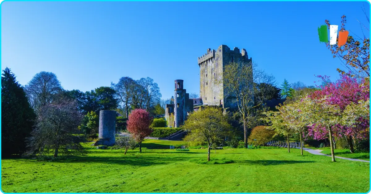 Why Do You Kiss the Blarney Stone