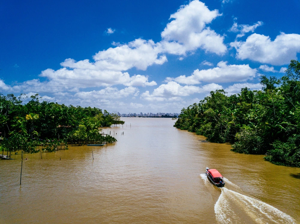 Which Side of Iguazu Falls is Better? The Ultimate Guide from Someone Who's Been to Both 4 Which Side of Iguazu Falls is Better