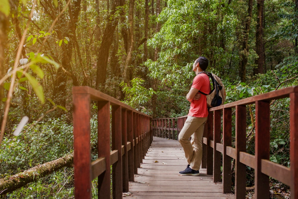 Can You Visit Iguazu Falls from Buenos Aires? Your Complete Travel Guide 5 Buenos Aires Iguazu Falls