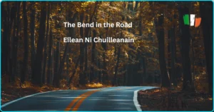 The Bend in the Road Eilean Ni Chuilleanain