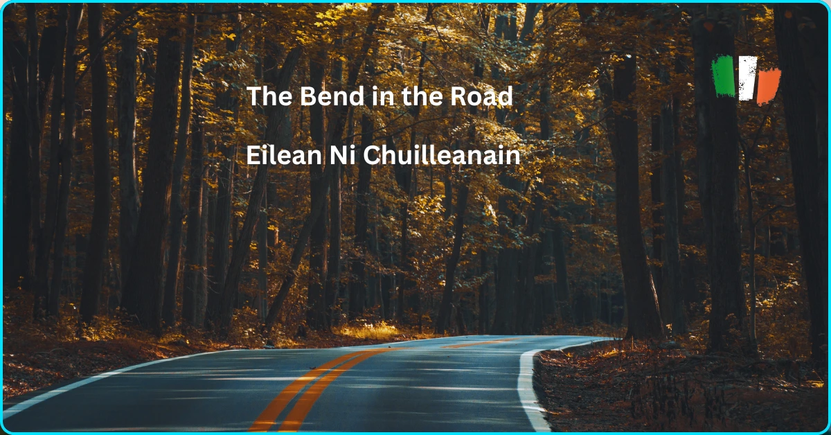 The Bend in the Road Eilean Ni Chuilleanain